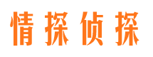 洛宁调查公司